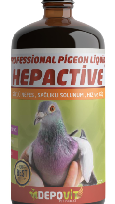 DEPOVİT HEPACTİVE 500 ML