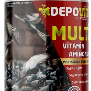 DEPOVİT MULTİVİTAMİN AMİNO ASİT TOZ